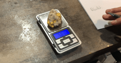 première pesé du spécimen