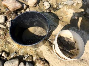 Comment bien utiliser un tamis en orpaillage ? 1