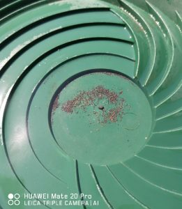 il ne reste plus qu'à observer et cueillir l'or