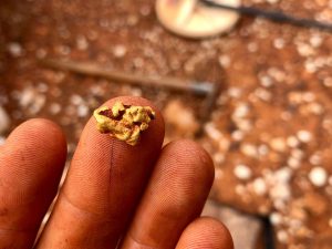pépite australienne trouvé au detecteur