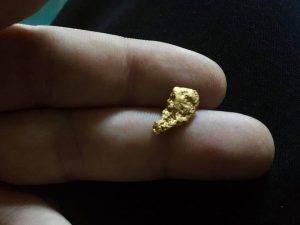 pépite trouvé dans le gard en 2019