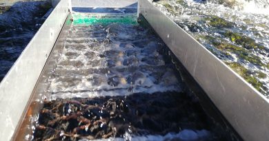 l'astuce des tapis actifs dans votre rampe de lavage