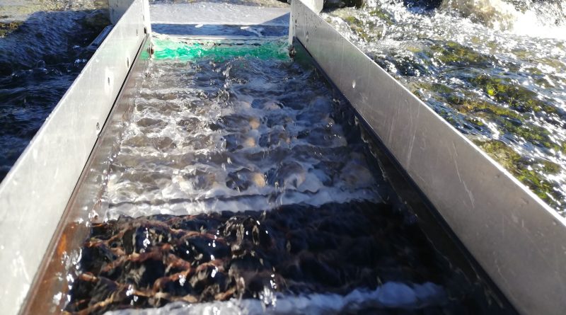 l'astuce des tapis actifs dans votre rampe de lavage