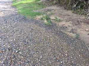 goldline en bordure de berge idéal à prospecter