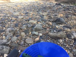 prospection d'un banc de galets