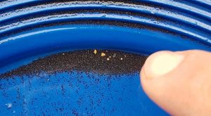 présence de pailletes d'or et de pépites d'or dans le pan