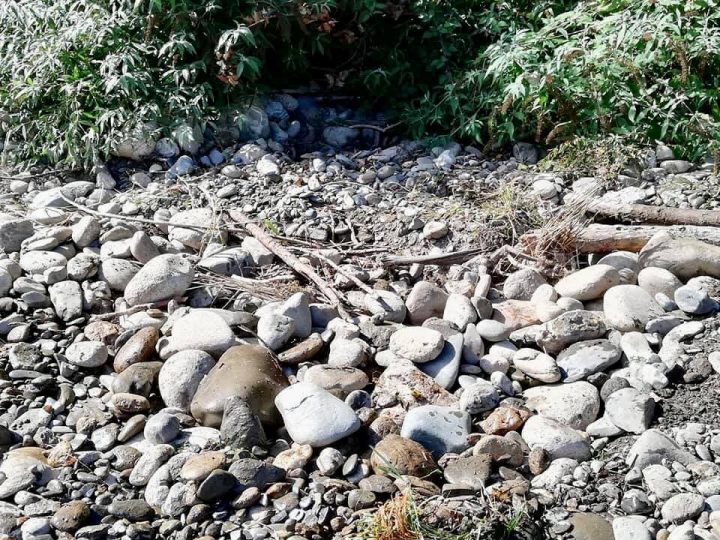 Remise en état et orpaillage : Pourquoi reboucher ses trous est obligatoire ? 2