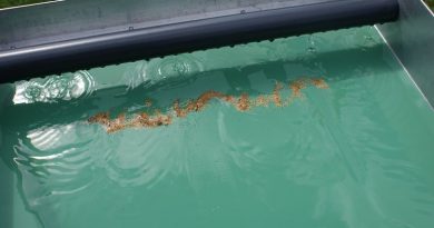 table de miller : resultat du nettoyage