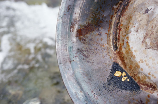 pépites d’or au fond d’une batée metallique