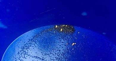 Paillettes d'or trouvé en orpaillage sur les plages de Bretagne