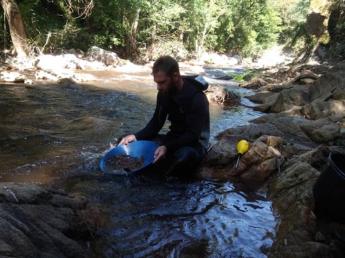 prospecteur qui orpaille en toute sécurité au bord de l'eau