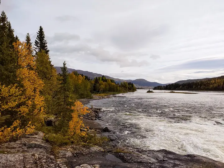 rivière aurifère Fairbanks-Alaska