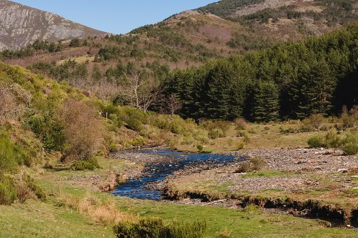 rivière aurifère Feather-River-Californie
