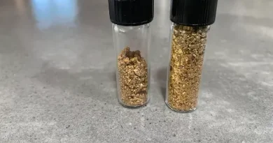 2 tubes en plastiques remplis de paillettes d'or