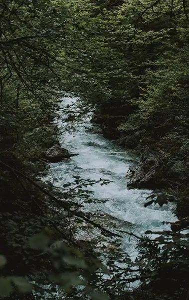Eaux claires du Gier reflétant le ciel d’été, entourées de galets et de végétation luxuriante