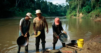 3 orpailleur clandestins le long d'un cours d'eau en Guyane