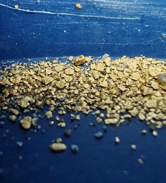 plusieurs gramme d’or en paillettes