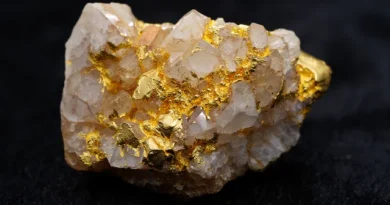 Quartz aurifère avec inclusions visibles d’or natif