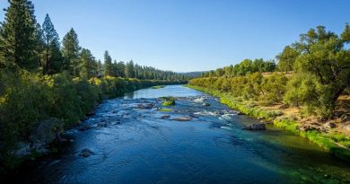 American River, Californie