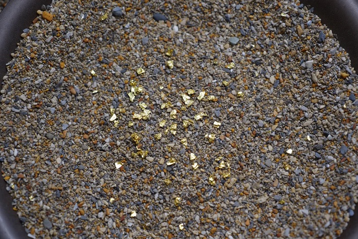 paillettes de Chalcopyrite dans du sable aurifère