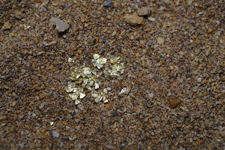 amas de plusieurs paillettes de Chalcopyrite
