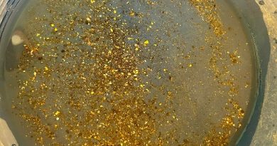 batée d'orpaillage avec des paillettes du Var