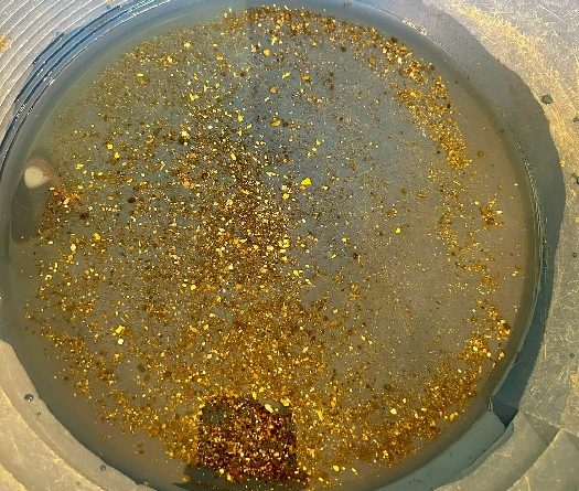 batée d'orpaillage avec des paillettes du Var