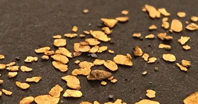 paillettes d'or prise sur un fond sombre avec un objectif macroscopique