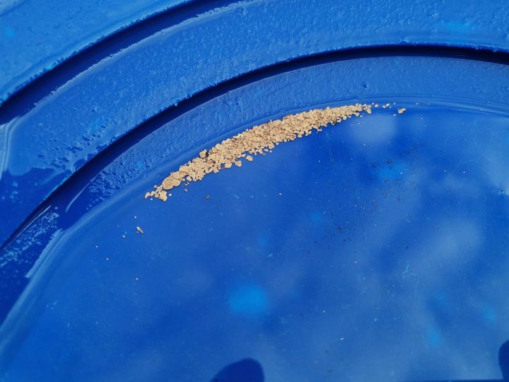 paillette d'or du salat à Mercenac