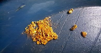 paillettes et pépite du Gard