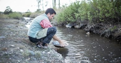 Placer de plage avec du sable fin où l'or se concentre.