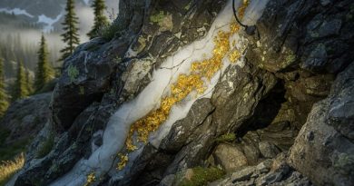 Schéma géologique d'un filon d'or natif (Au) incrusté dans une veine de quartz (SiO₂) traversant une roche hôte métamorphique, le tout situé dans un environnement montagneux