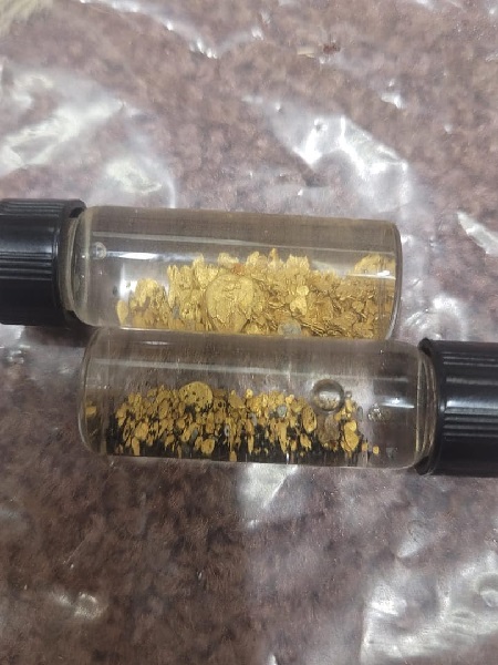 2 fioles de paillettes d'or du gardon