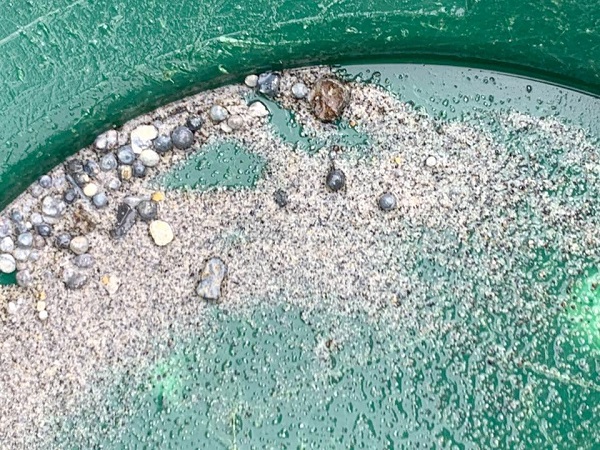 Comment remettre en état un site d'orpaillage avant de parti ? 3 Fond de batée avec quelques paillettes d'or et énormément de plombs de pêches