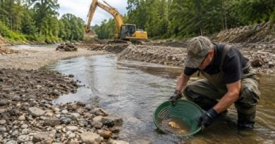 Homme pratiquant l'orpaillage avec une batée verte dans une rivière en cours de curage par une pelle mécanique.