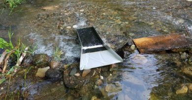 Rampe de lavage ou sluice installée dans le courant d'un ruisseau pour filtrer les sédiments aurifères.