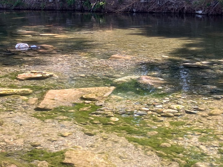 Lit d une riviere du Gard remue par des orpailleurs avec des rochers deplaces et de l algue verte