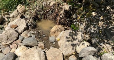 Trou creuse par des orpailleurs et laisse non rebouche rempli d eau boueuse sur la berge d une riviere du Gard