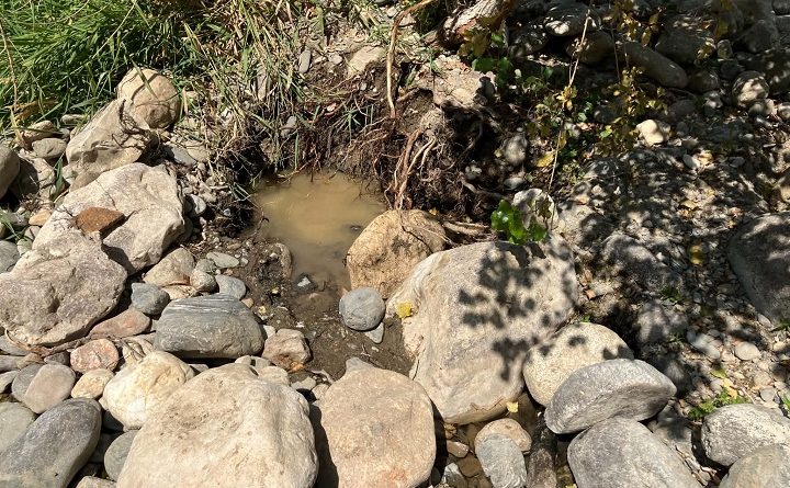 Trou creuse par des orpailleurs et laisse non rebouche rempli d eau boueuse sur la berge d une riviere du Gard